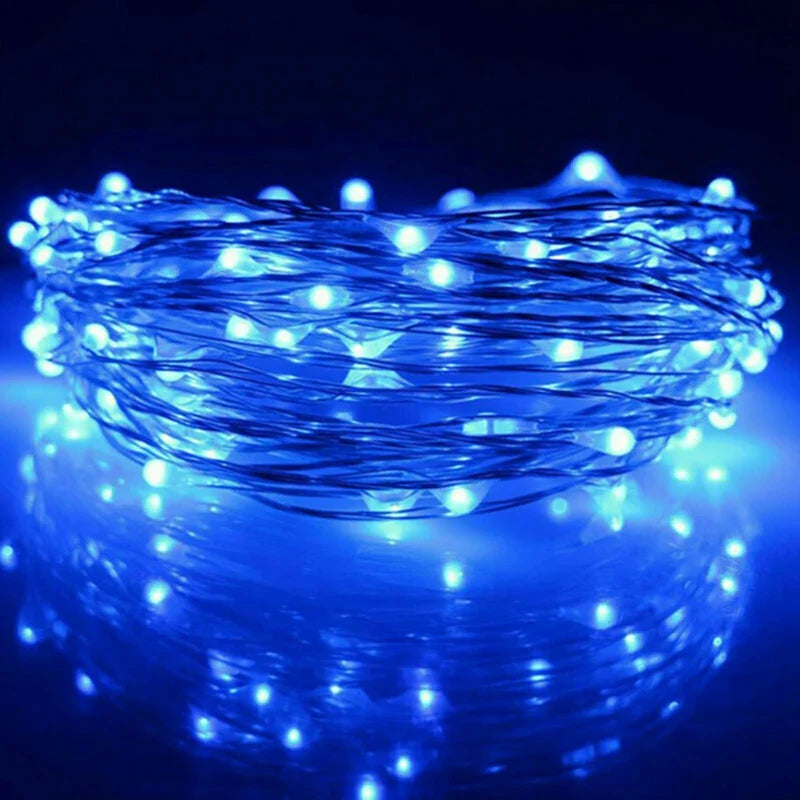 Battery-Powered Fairy String Lights | LED Christmas Light