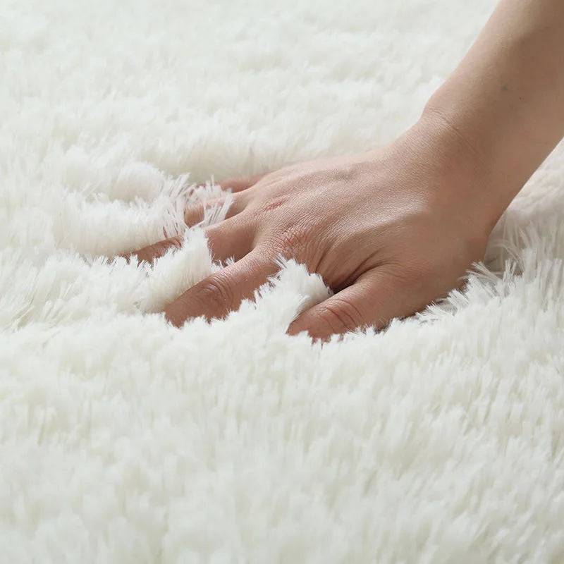Cozy Living Room Rug | Non-Slip Fluffy Rug