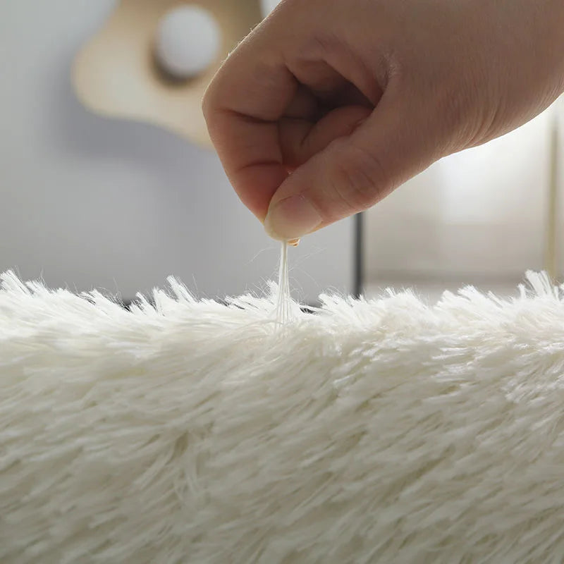 Cozy Living Room Rug | Non-Slip Fluffy Rug