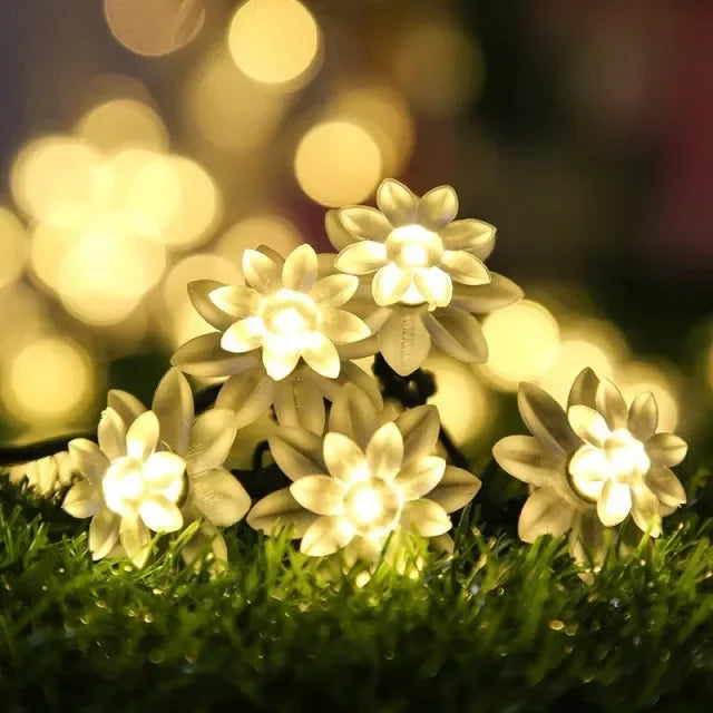 Colour-Changing Moroccan LED Christmas Lights | Multi-Color Garden Lighting