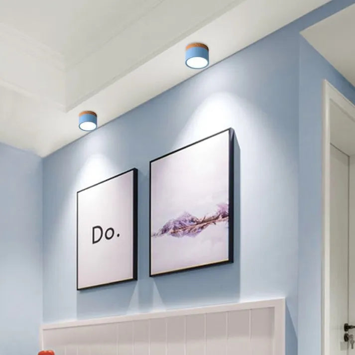 Minimalist Scandinavian Cylinder LED Ceiling Fixture