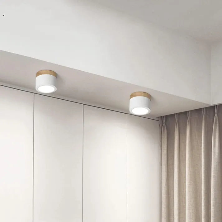 Minimalist Scandinavian Cylinder LED Ceiling Fixture