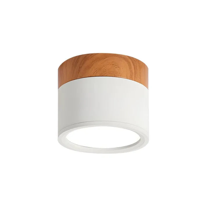 Minimalist Scandinavian Cylinder LED Ceiling Fixture
