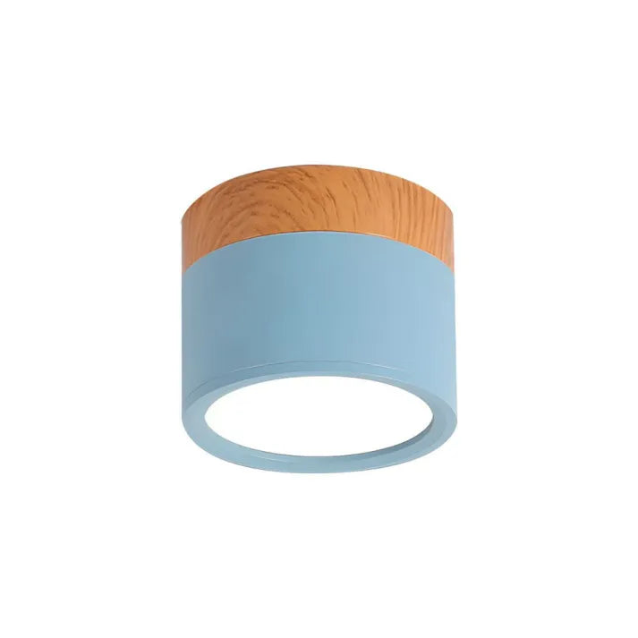 Minimalist Scandinavian Cylinder LED Ceiling Fixture
