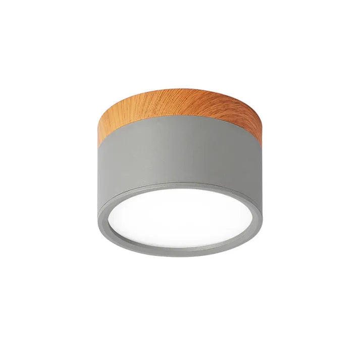 Minimalist Scandinavian Cylinder LED Ceiling Fixture