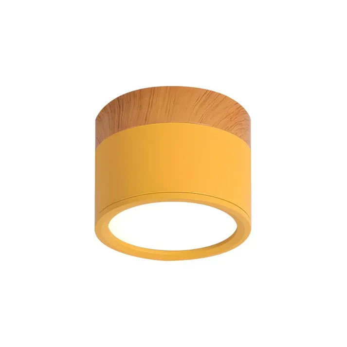 Minimalist Scandinavian Cylinder LED Ceiling Fixture