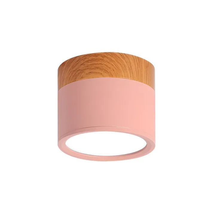Minimalist Scandinavian Cylinder LED Ceiling Fixture