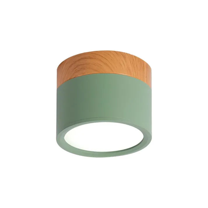 Minimalist Scandinavian Cylinder LED Ceiling Fixture