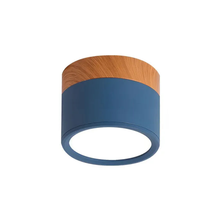 Minimalist Scandinavian Cylinder LED Ceiling Fixture
