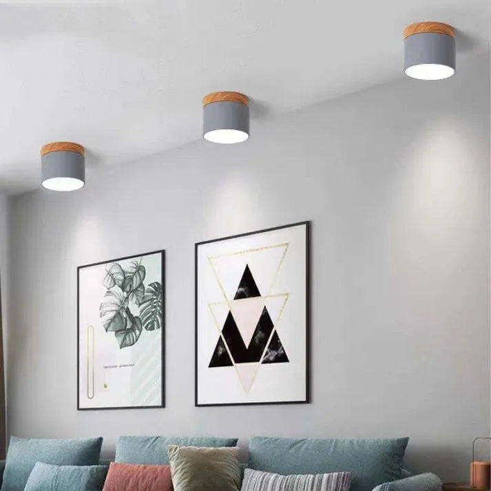 Minimalist Scandinavian Cylinder LED Ceiling Fixture