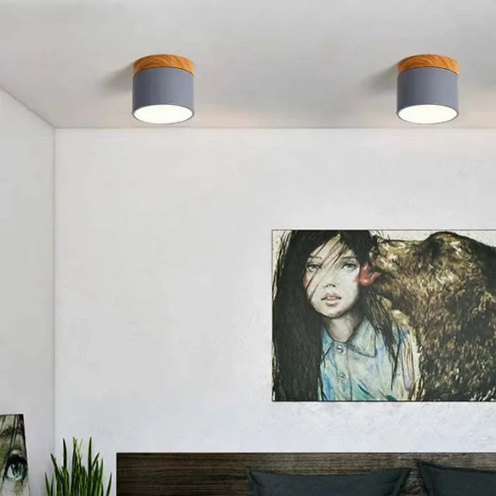 Minimalist Scandinavian Cylinder LED Ceiling Fixture