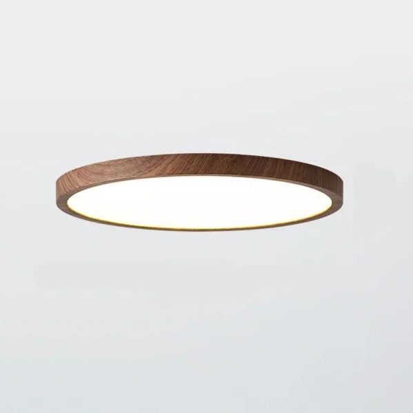 Space-Saving Ultra-Thin Ceiling Light